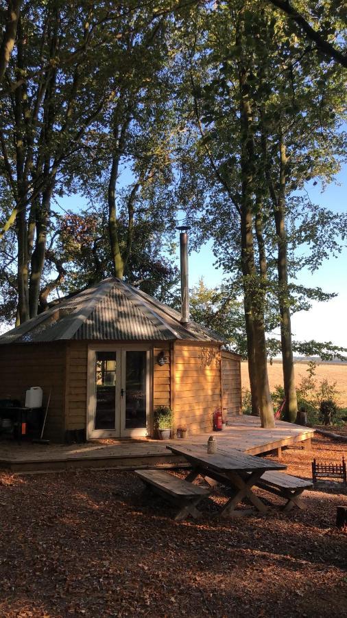 Woodpecker With Hot Tub