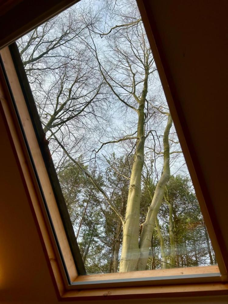 Woodpecker With Hot Tub Alojamento de Turismo Selvagem King's Lynn